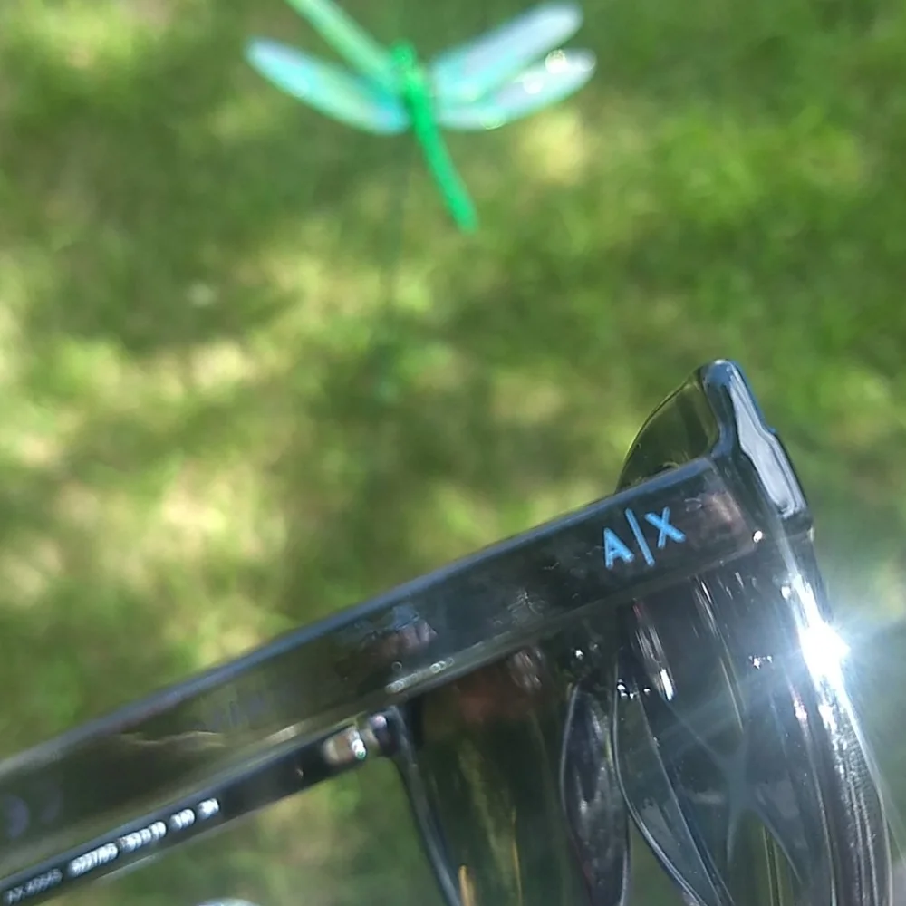 Armani Exchange sunnies NWOT +NWT case